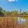 Pond with blue skies